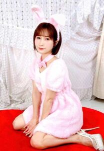 Minami-Kojima-curtain