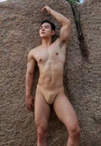 Naluemit-Waphithak-Cock